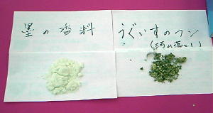 ��̕��͖n�̉��ꗎ�Ƃ��Ɏg���܂�