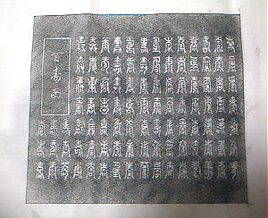 ���̑�{�́c�P�O�O�̎����A�Ȃ�ƑS���w���x�ł��B